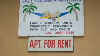 Daily House Rentals