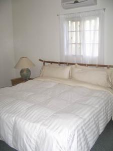Christiansted Vacation Rentals