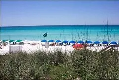 Tradewinds And Summer Breeze