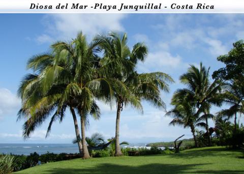 Playa Tamarindo Vacation Rentals
