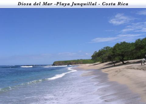 Playa Tamarindo Vacation Rentals