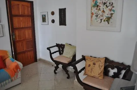 Apt for Carnaval or ChristmasNew Year