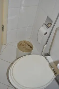 Apt for Carnaval or ChristmasNew Year