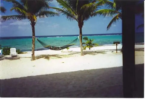 Morritts Tortuga Club