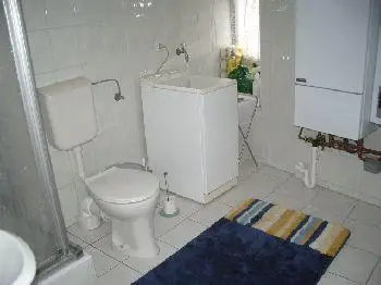 the house near the lake and swimming poo