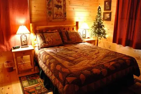 Georgia Mountain Cabin Rentals