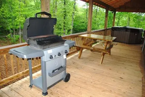 Georgia Mountain Cabin Rentals