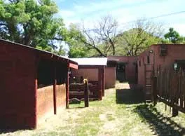 Spirit Tree Inn Bed And Breakfast