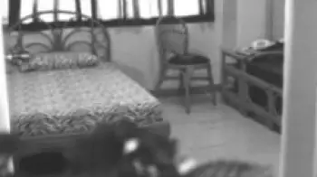 Family Vacation Rental Homes