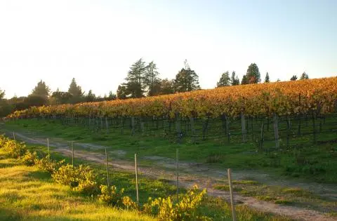 Penngrove Gardens Wine Country Cottage