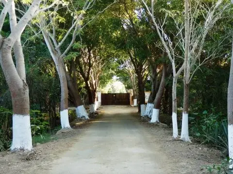 Casa Kikillia