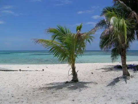 Vacation Rentals of Key West Florida
