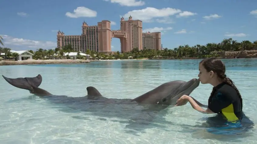 Harborside Resort At Atlantis