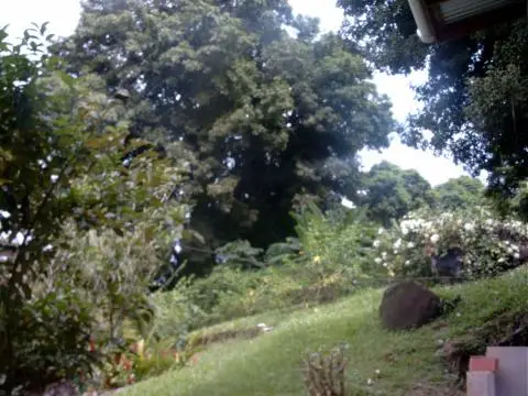 Jemas Guesthouse Tobago