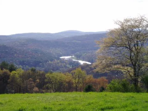 Hilltop Guest Cottage