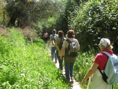 Bargain terraced house by river sleeps 4