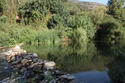 Bargain terraced house by river sleeps 4