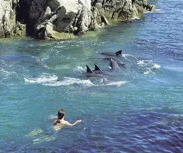 Beautiful self catering Plettenberg Bay