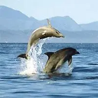 Beautiful self catering Plettenberg Bay