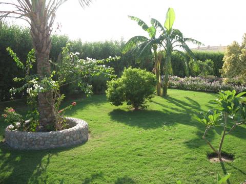 Hurghada Vacation Rentals