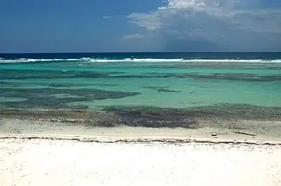 Paradise Found House