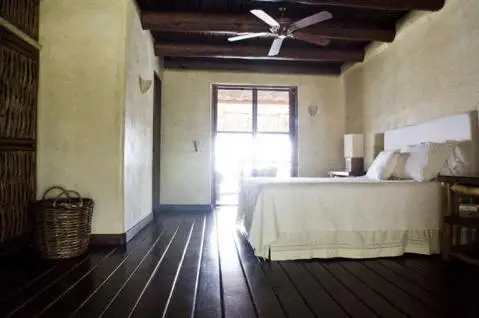 Casa del Arbol