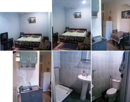 1 bed room apartment for rent in Tbilisi