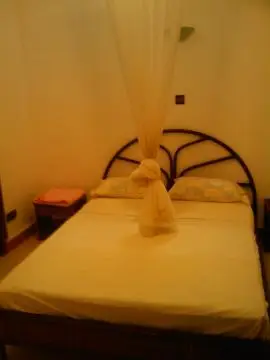 Large sunny and bright apartment