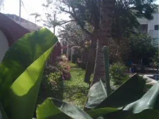 Large sunny and bright apartment