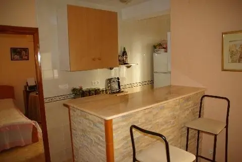 Tropical Apartment