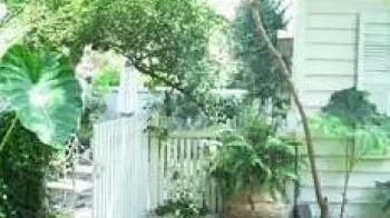 Weekend Houses For Rent