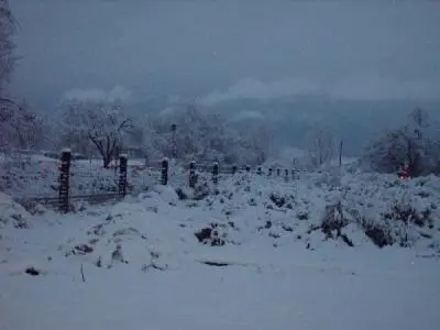 Sandhill Crane Bed And Breakfast
