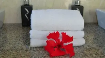 Vacation Rental Agencies