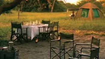 Vacation Home Site