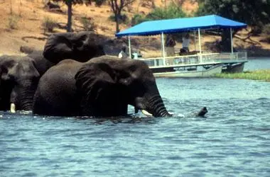 Chobe Marina Lodge
