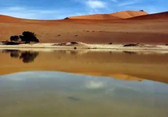 Desert Camp