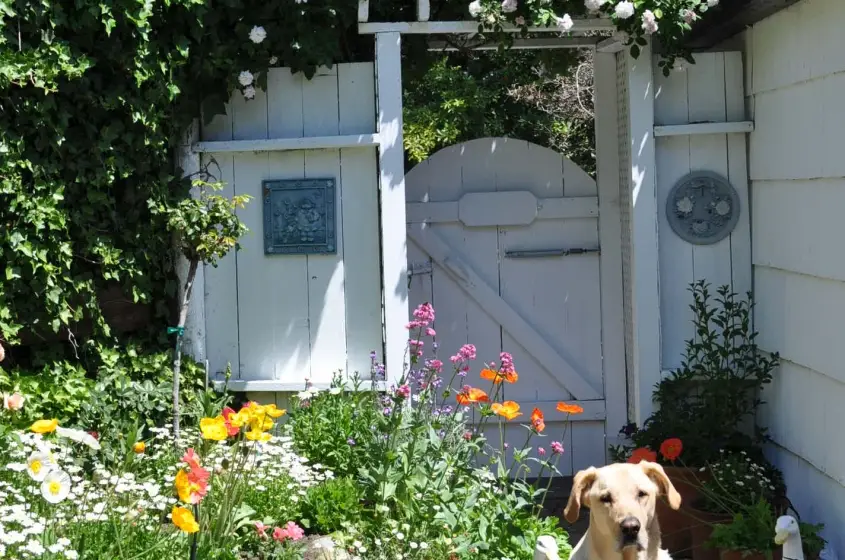 Mill Valley Ca Marin County
