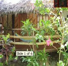 Bamboo Bungalows
