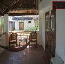 Bamboo Bungalows