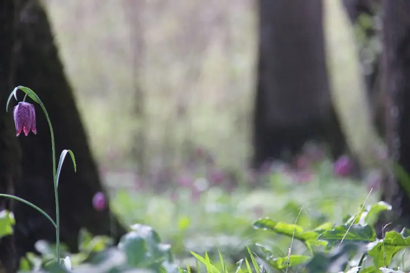 Cocooning Between The Vineyards In Les Frugeres With Pool About 3 Km Of The Golf