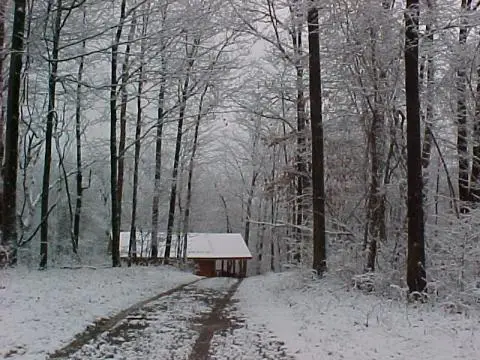 Martinwoods Cabins