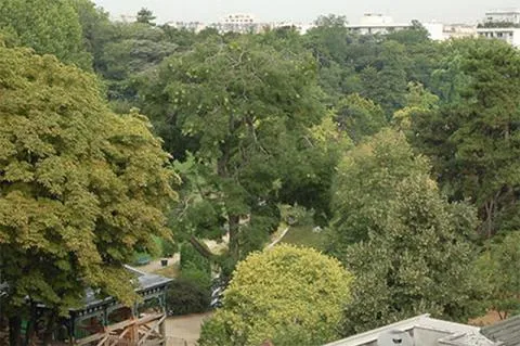 Paris Romantic apart with view