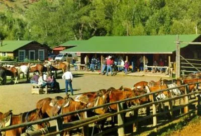 The Cm Ranch