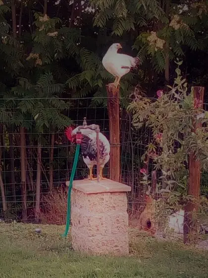 Stone House Immersed In The Spectacular Umbrian Hills