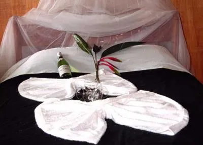 Amazon Yarapa River Lodge