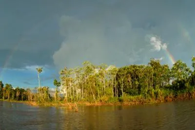 Amazon Yarapa River Lodge